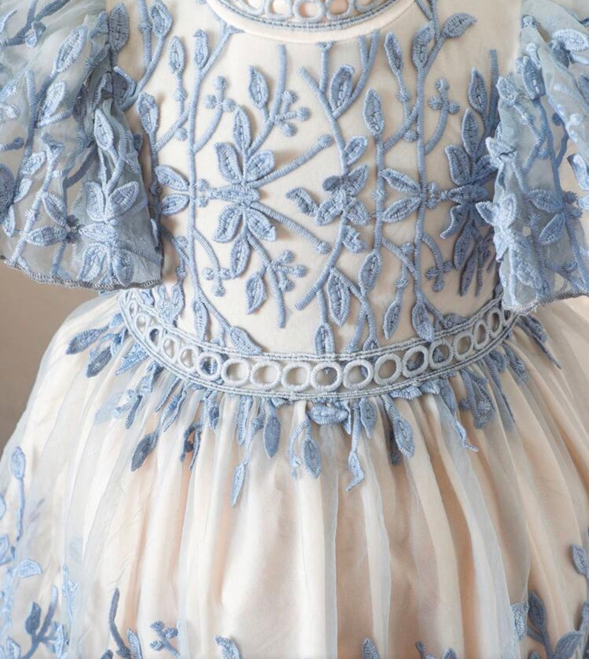 Floral Embroidery Tulle Puff Sleeve