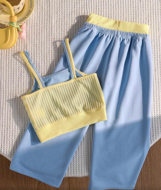 2pcs/Set Sleeveless Top & Pants Set