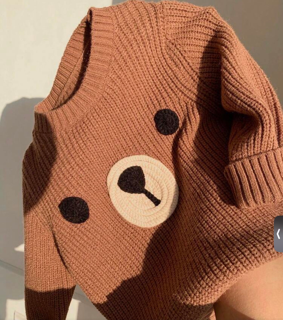 Bear Pullover Sweater Autumn/Winter