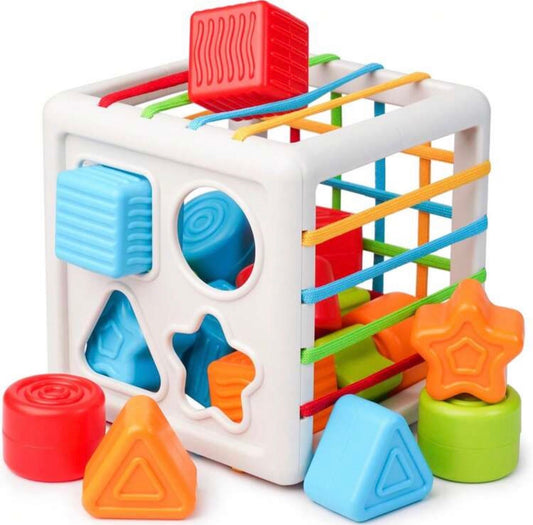 Shape Sorting Toy