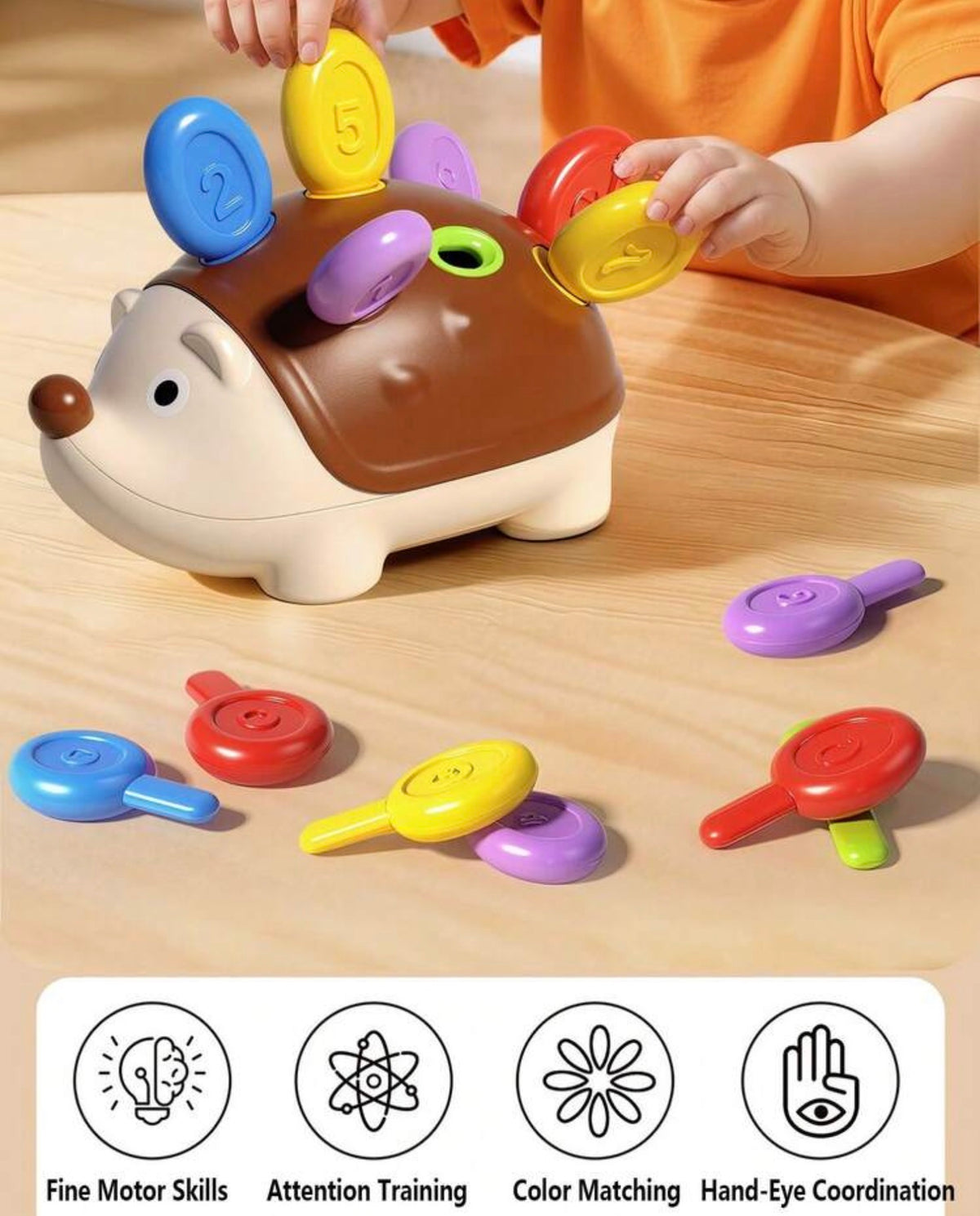 1pc Education Assembling Hedgehog Toy