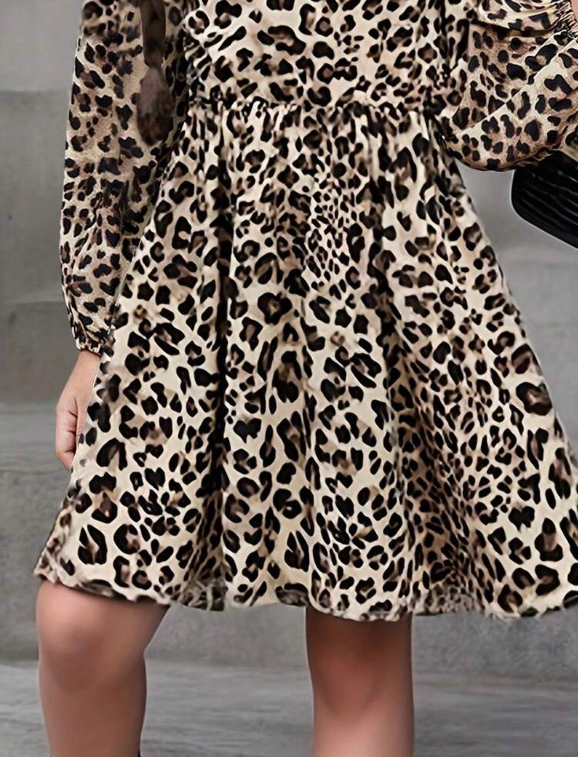 Bow Tie & Leopard Print Dress