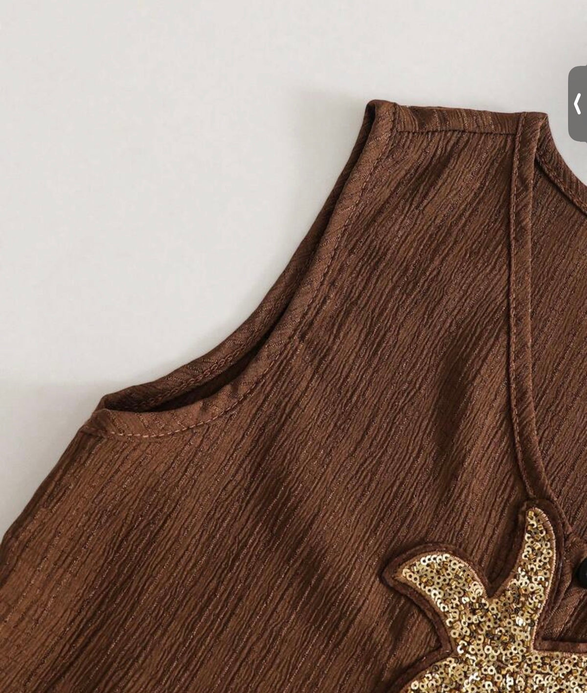 2pcs/Set V-Neck Vest Paired With Wide-Leg Pants