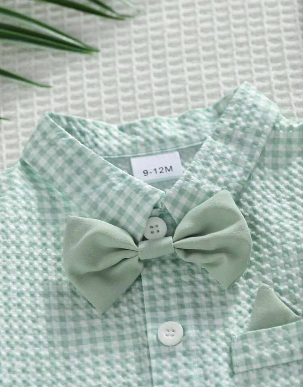 4pcs Sage Green With Short Sleeve Shirt,Shorts,Bow