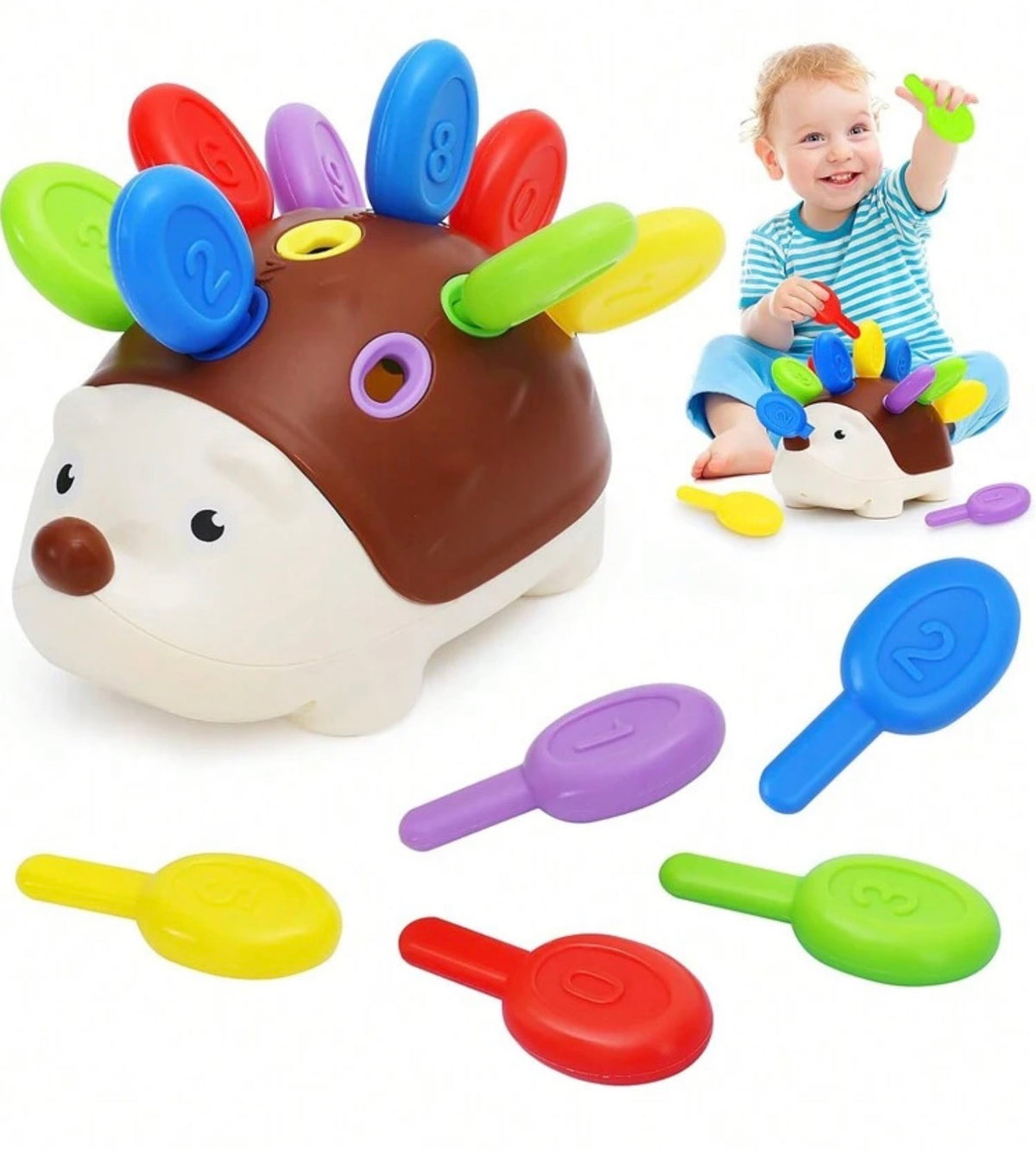 1pc Education Assembling Hedgehog Toy