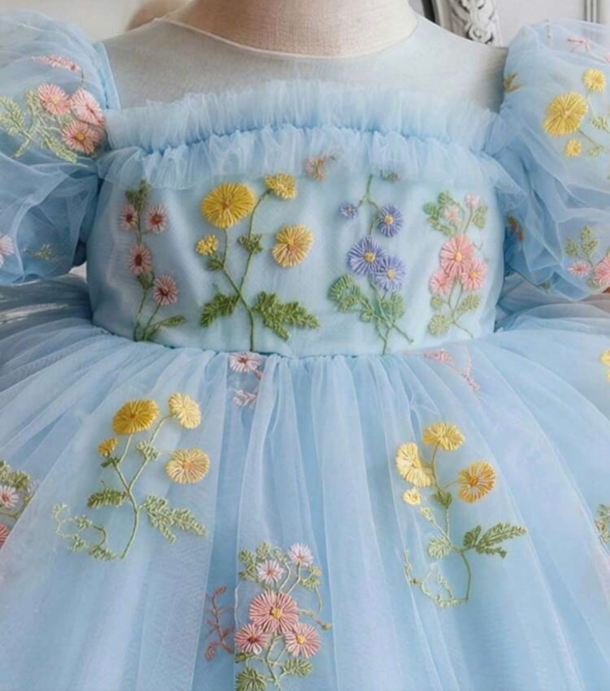 Embroidered Petal Sleeve Hollow Back Mesh Princess Dress