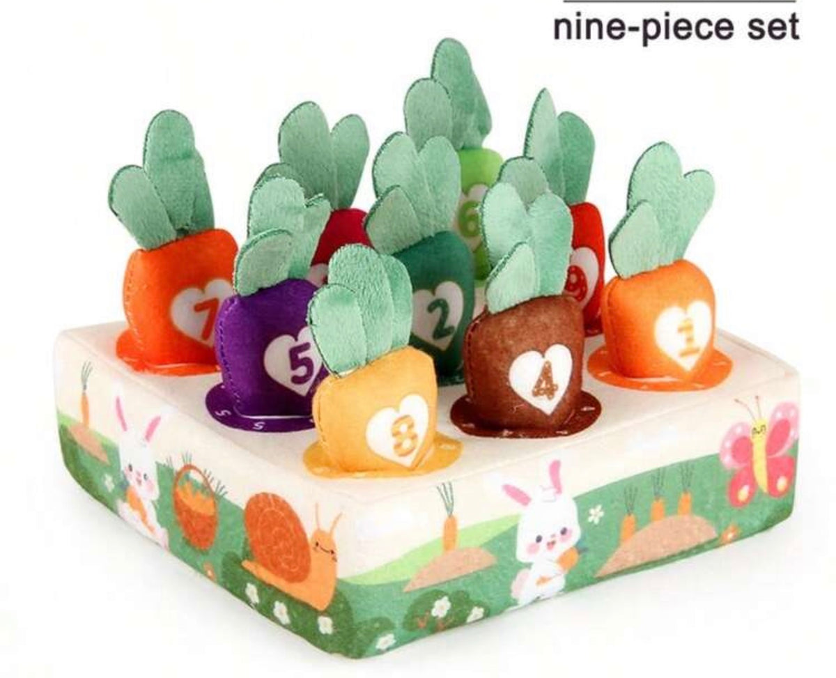 Carrot-Pulling Matching Toys