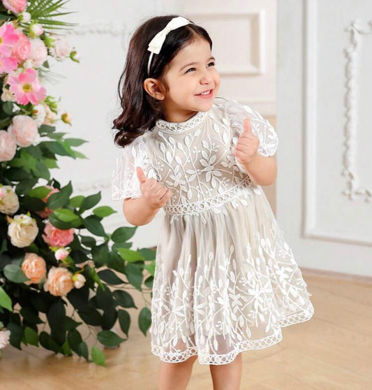 Floral Embroidery Tulle Puff Sleeve